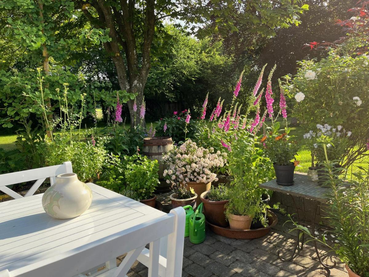 Fuglsang Bed & Breakfast Hjørring Exteriér fotografie